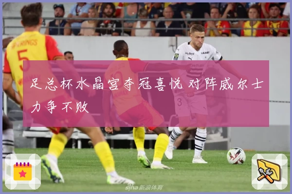 足总杯水晶宫夺冠喜悦 对阵威尔士力争不败