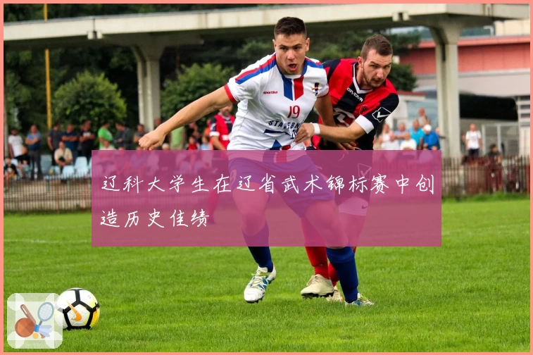 辽科大学生在辽省武术锦标赛中创造历史佳绩