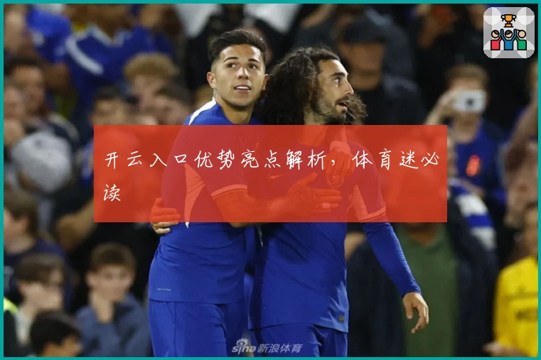 开云入口优势亮点解析，体育迷必读