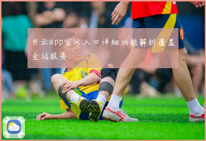 开云app官方入口详细功能解析覆盖全站服务