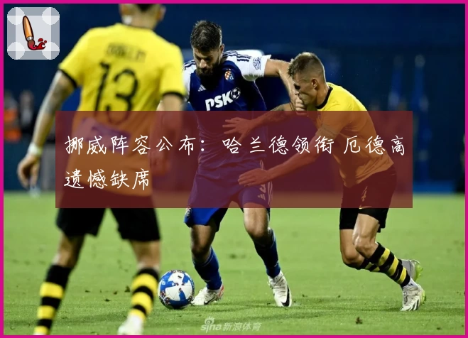 挪威阵容公布：哈兰德领衔 厄德高遗憾缺席