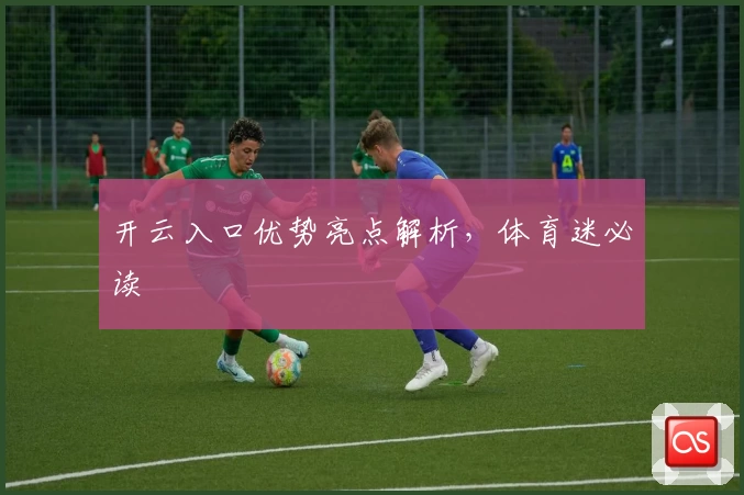 开云入口优势亮点解析，体育迷必读