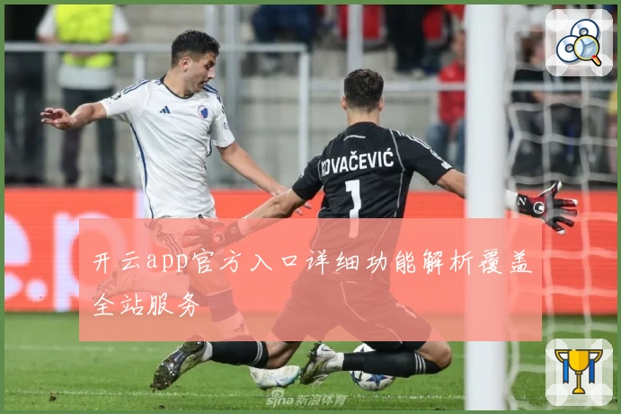 开云app官方入口详细功能解析覆盖全站服务